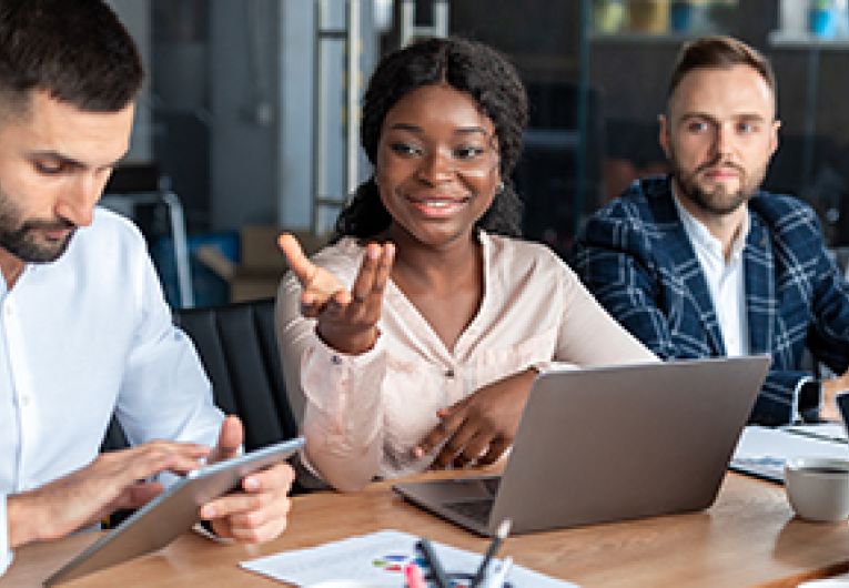 A group of business professionals having a discussion.