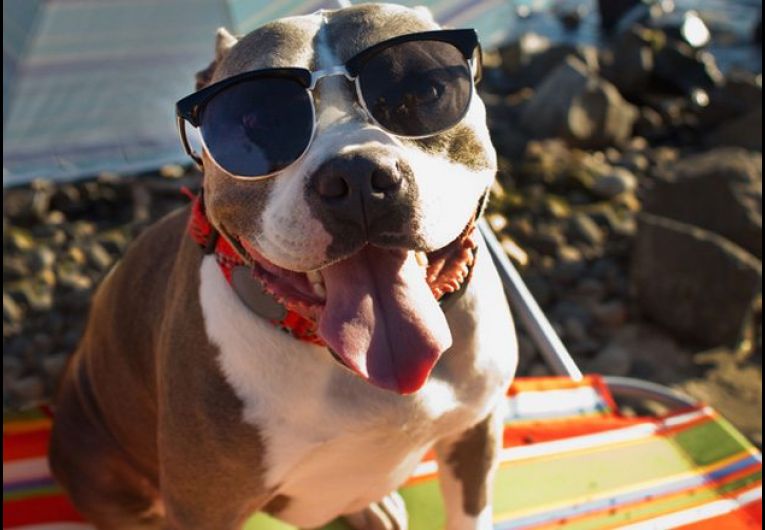 Boosting Productivity in Summer