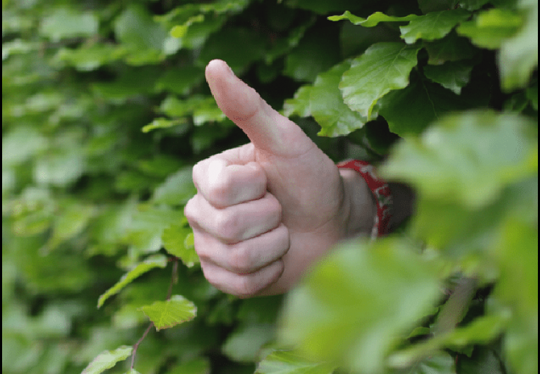 Pay for Play: Your Guide to Success with Facebook Boosted Posts