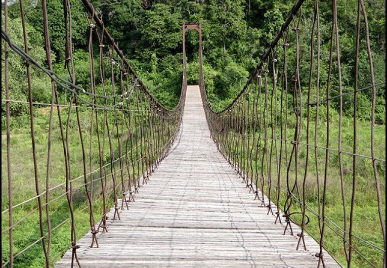 The Upside of Taking Risks in Business