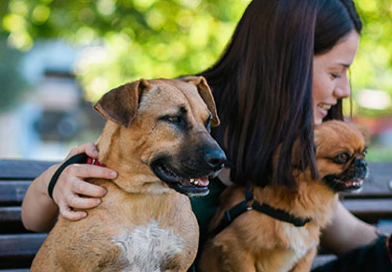 woman-with-dogs-at-park